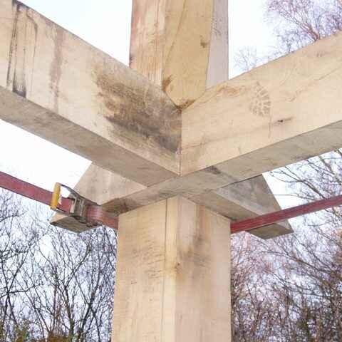 Project Bontebok - foto 3