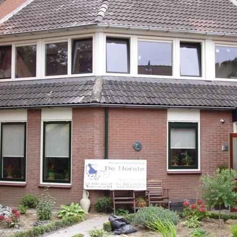 Dakkapel Lichtenvoorde - foto 8