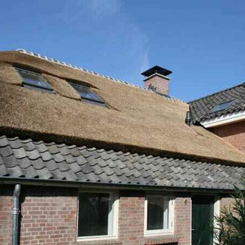 Boerderij renovatie - foto 6
